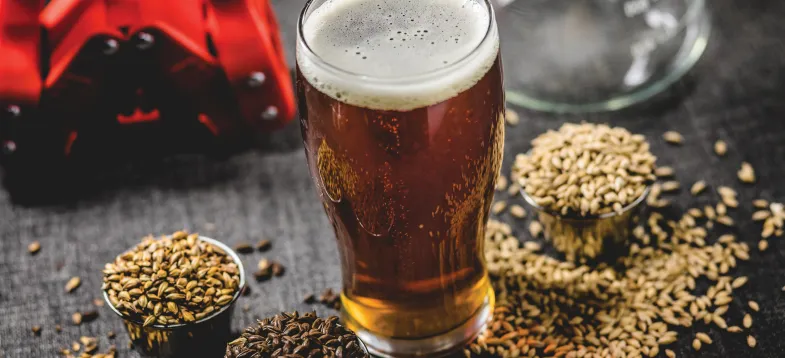  啤酒發酵過程大揭秘！vAPCI+CMS 聯用新技術如何快速捕捉風味密碼？